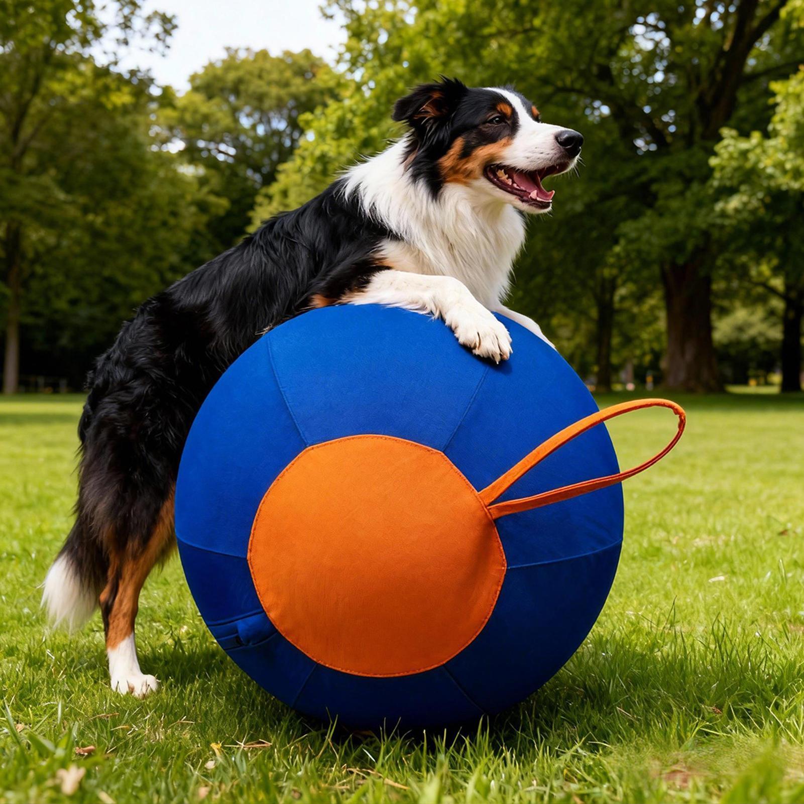 Pet Supplies Plus - Bola Interativa Grande para Cães -