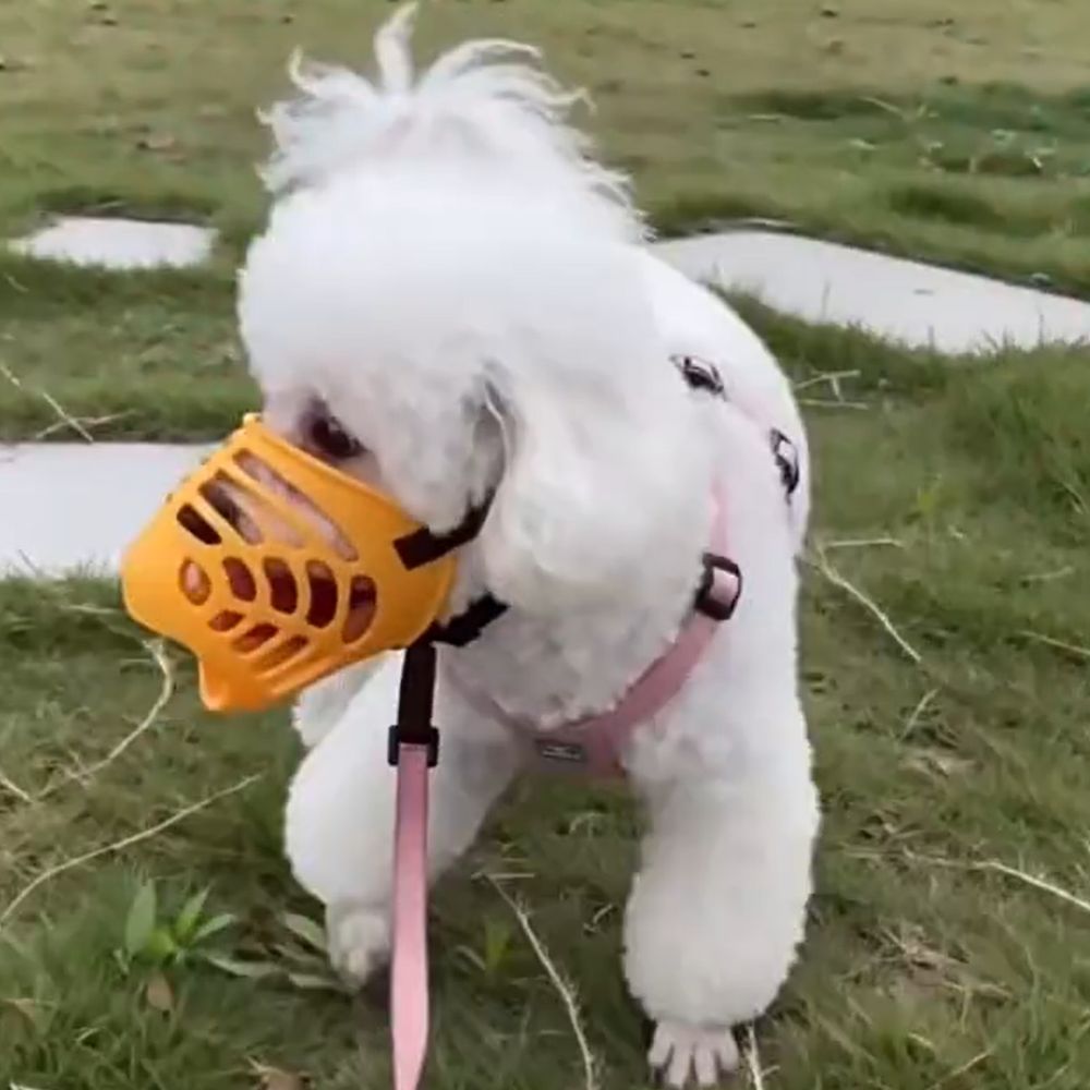 Dog Muzzle Silicone - Acessórios para Cães: Focinheira de Silicone