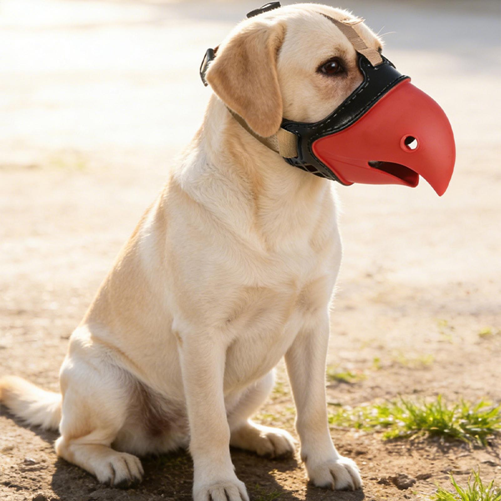 Dog Muzzle Silicone - Focinheira para Cães e Filhotes em