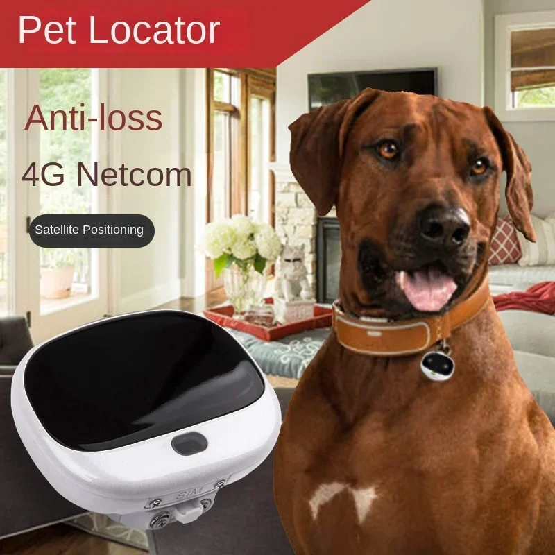 Pet Supplies Locations - Mini Localizador GPS 4G LTE 2G