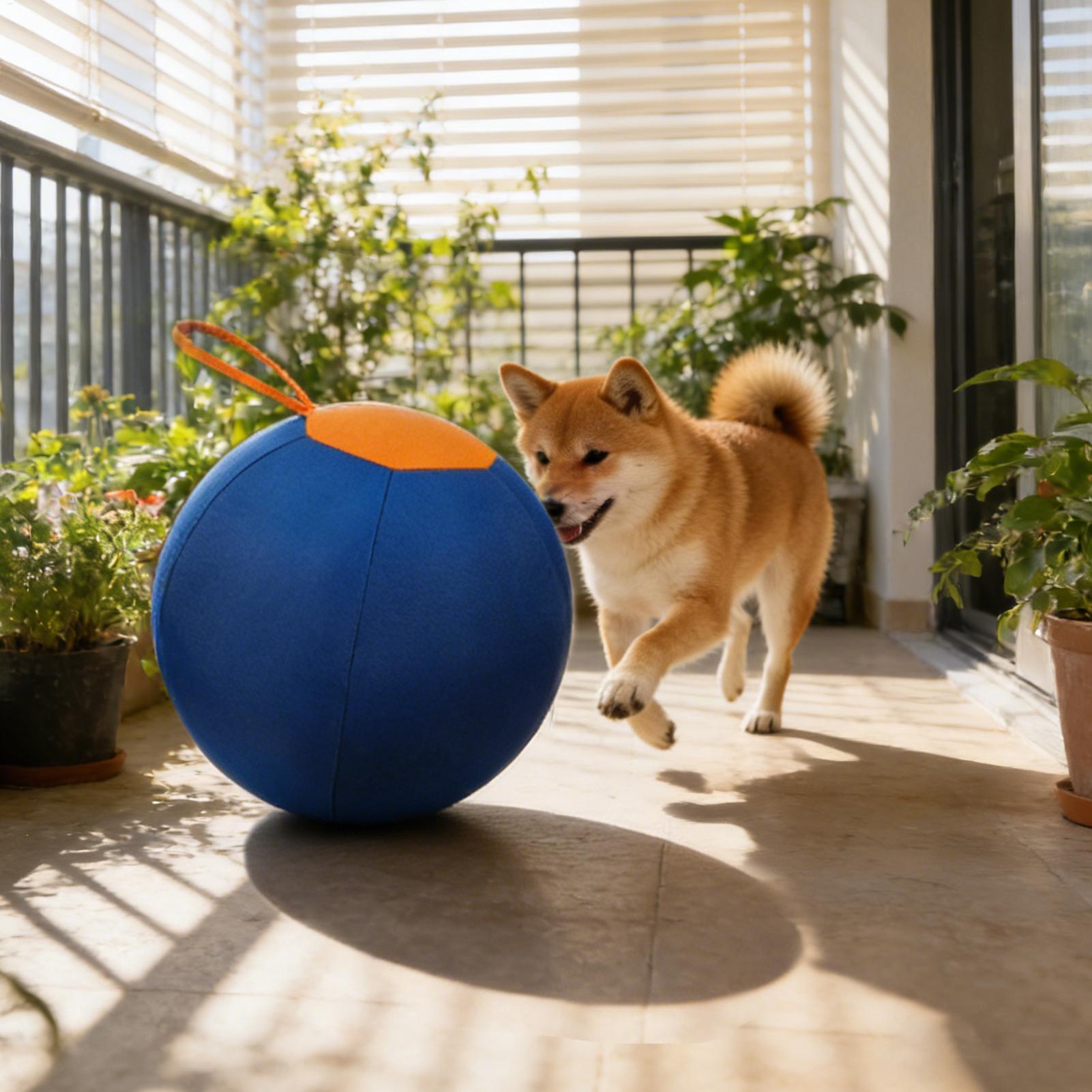 Bola Interativa Grande para Cã - Pet Supplies Plus avaliação e preço