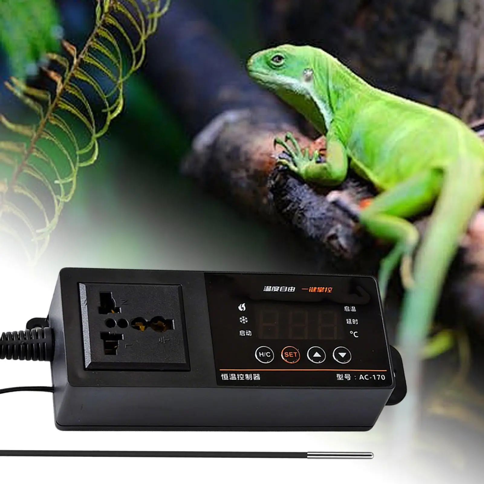 Termostato para tanque de répt - Pet Supplies In Uk avaliação e preço