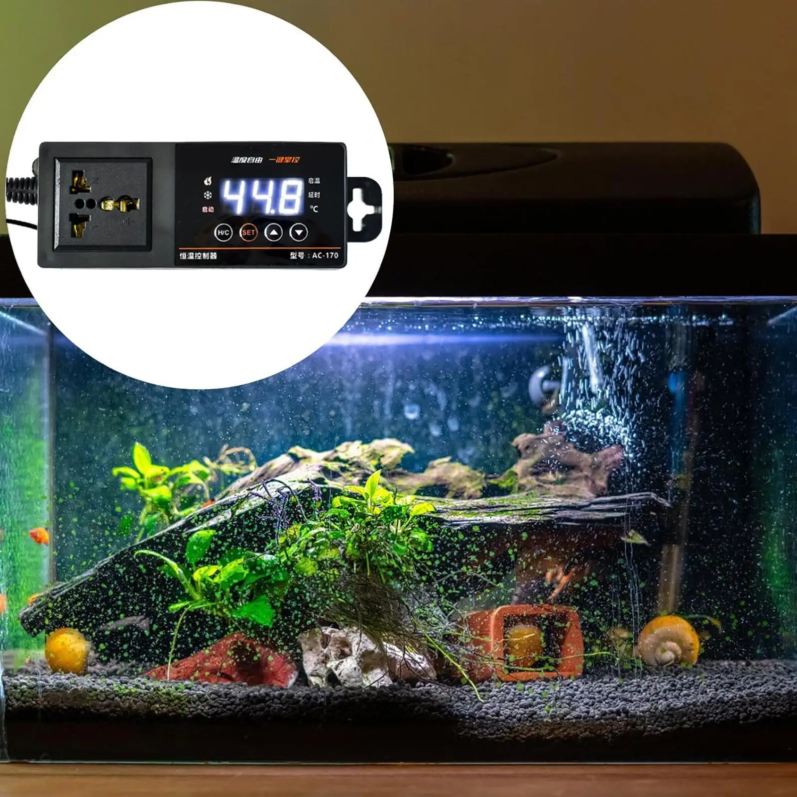 Termostato para tanque de répt - Pet Supplies In Uk avaliação e preço