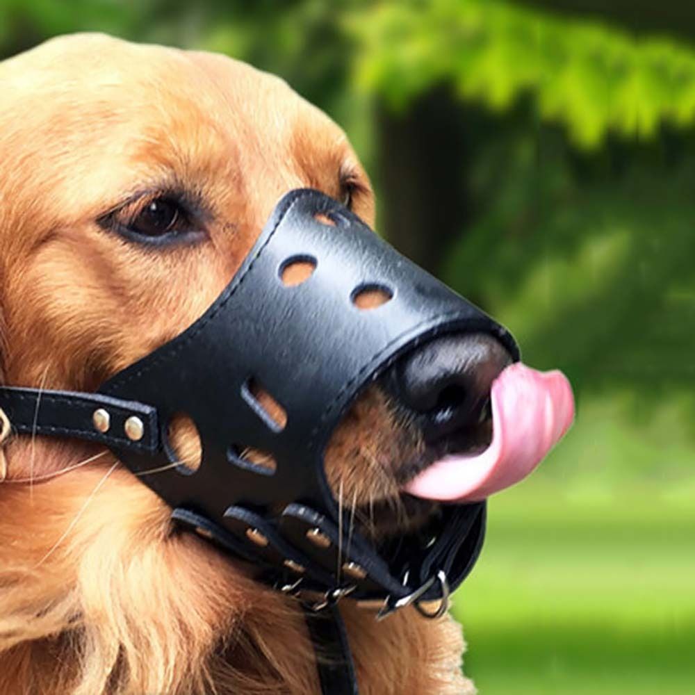 Focinheira Anti-Mordida e Anti - Pet Supplies Plus avaliação e preço