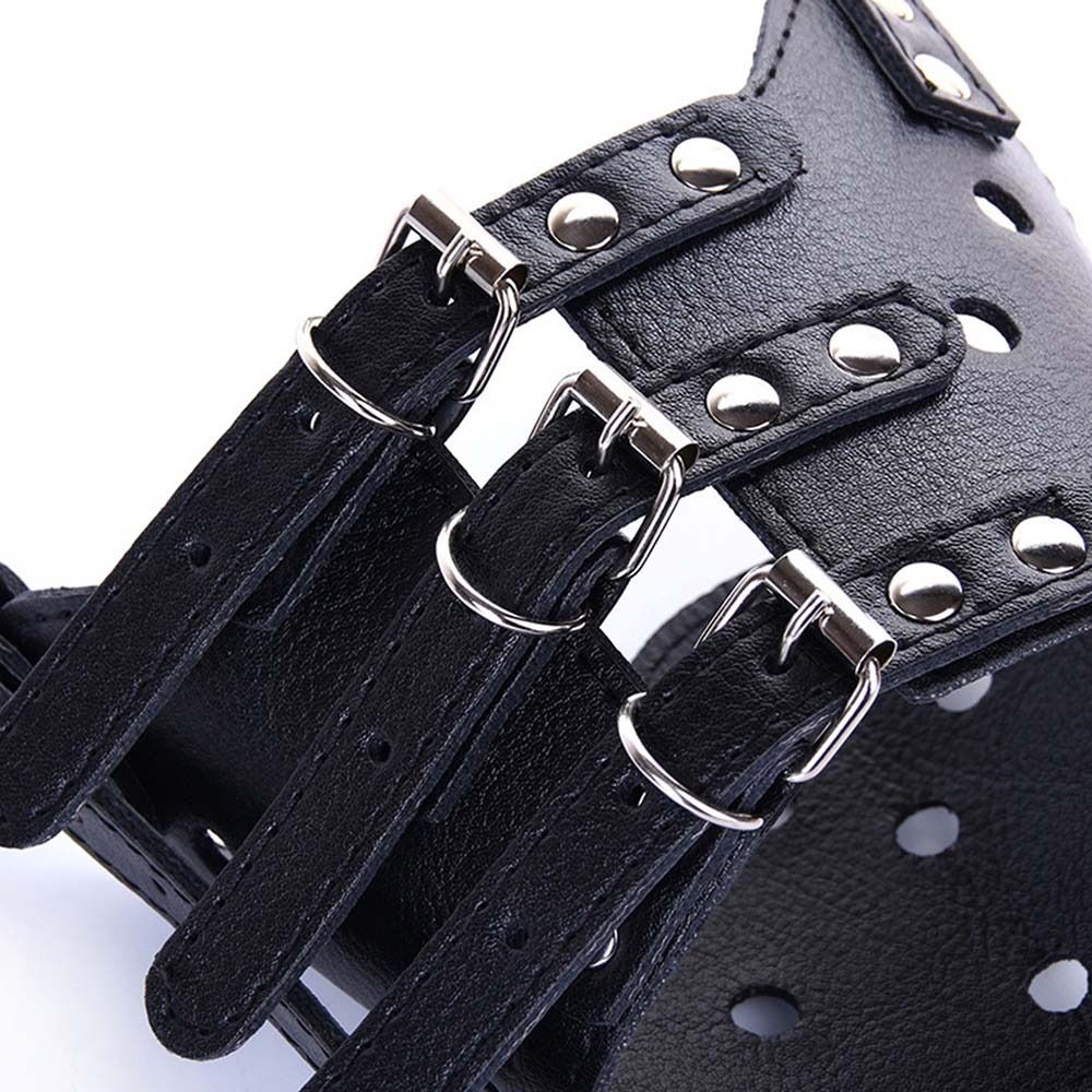 Focinheira Anti-Mordida e Anti - Pet Supplies Plus avaliação e preço