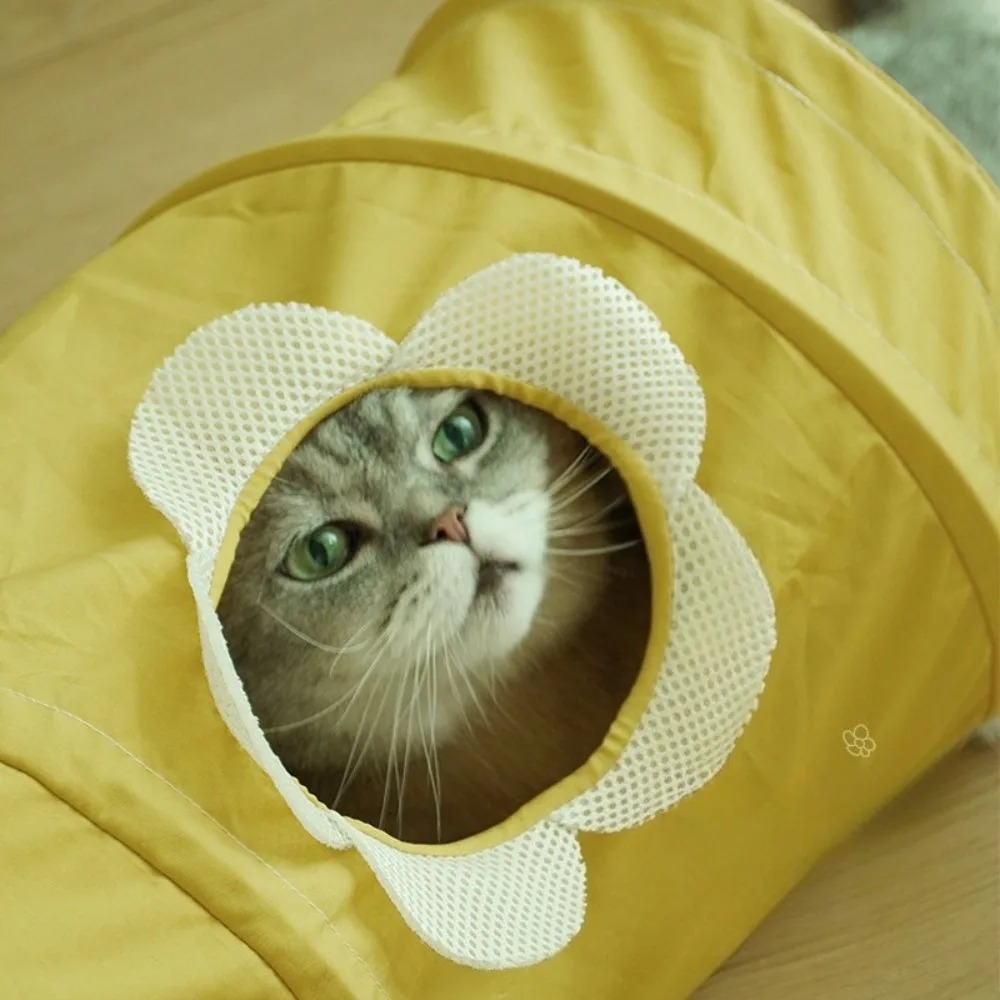 Túnel Espiral Portátil e Dobrá - Pet Supplies In Store avaliação e preço