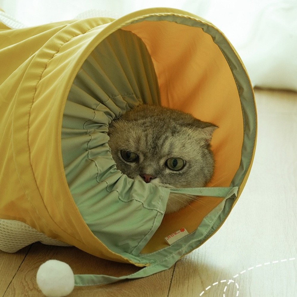 Túnel Espiral Portátil e Dobrá - Pet Supplies In Store avaliação e preço