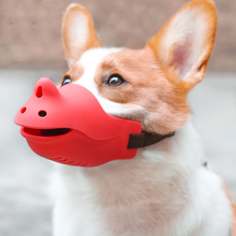 Focinheira de Silicone Puro pa - Dog Muzzle Silicone avaliação e preço
