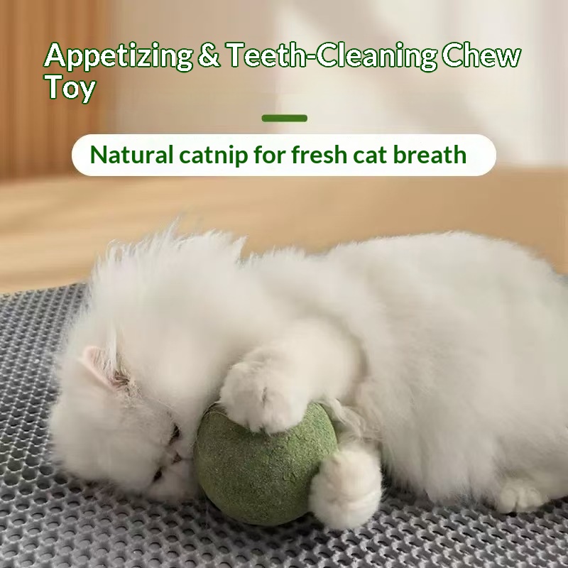 Bola de Catnip Extra Grande pa - Pet Supplies Plus avaliação e preço