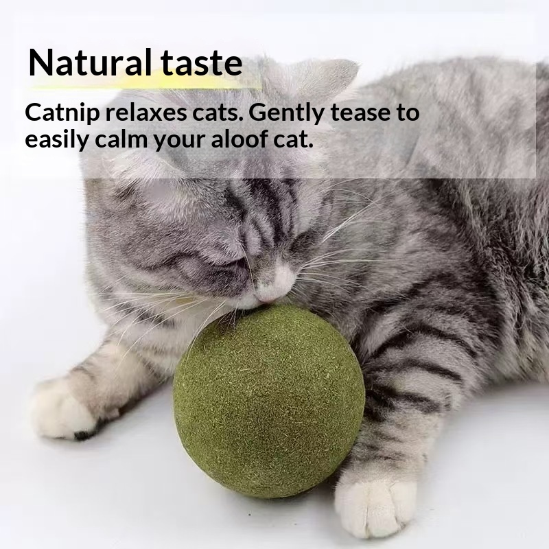 Bola de Catnip Extra Grande pa - Pet Supplies Plus avaliação e preço