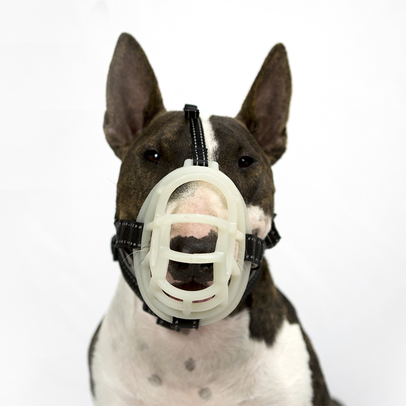 Máscara de Fluorescência para  - Dog Muzzle Silicone avaliação e preço
