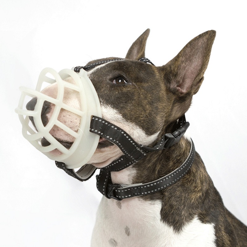 Máscara de Fluorescência para  - Dog Muzzle Silicone avaliação e preço