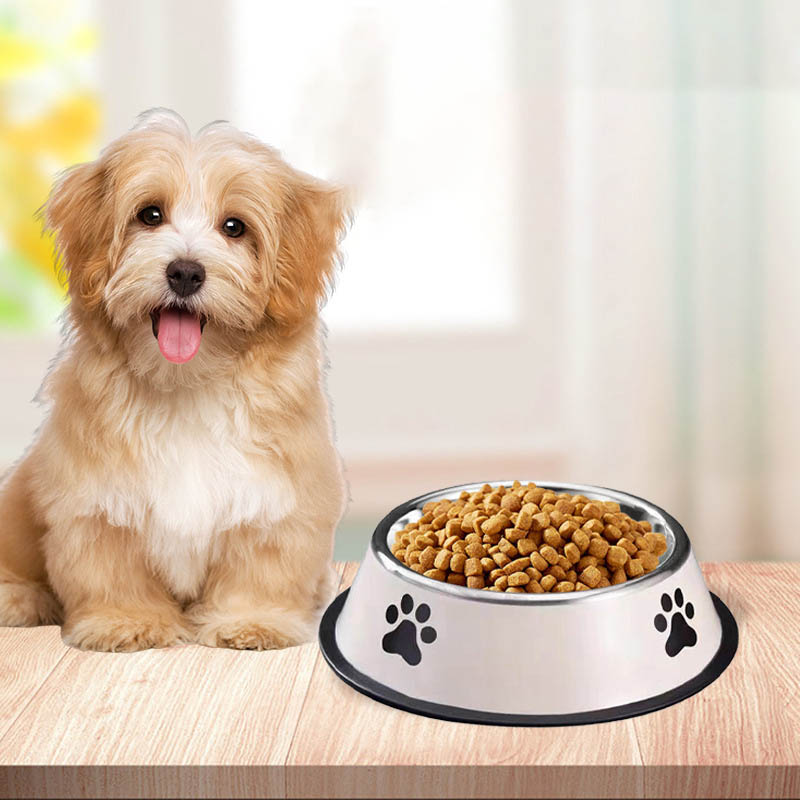 Tigela de Aço Inoxidável para  - Pet Supplies Plus avaliação e preço