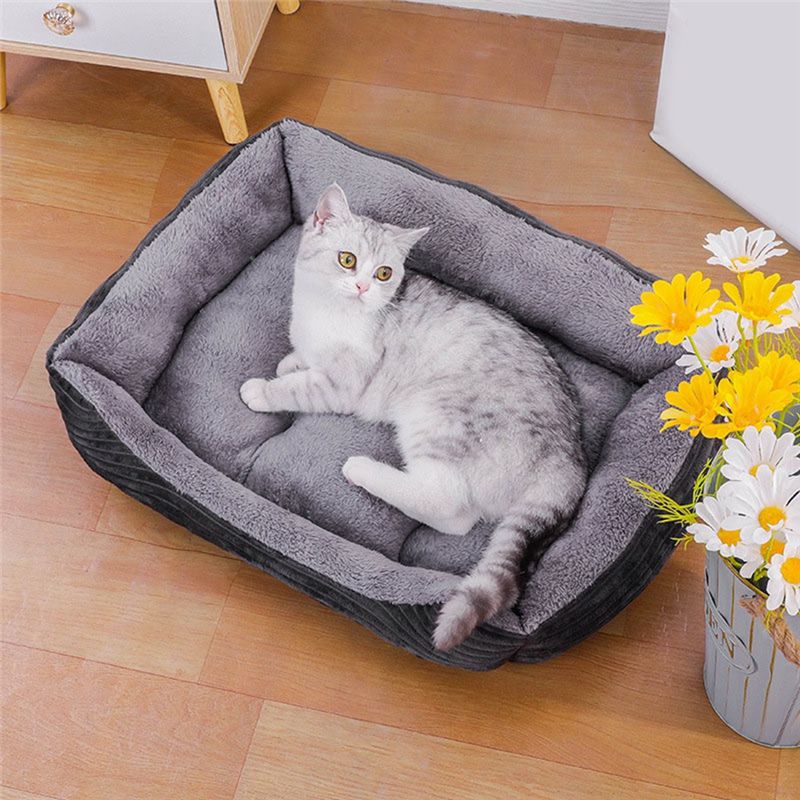 Cama para Cães AEA9 Cinza, Col - Pet X Supplies & Tack avaliação e preço