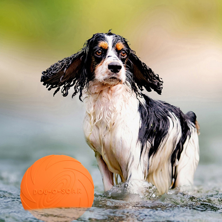 Brinquedo de Disco Voador para - Pet Supplies Plus avaliação e preço